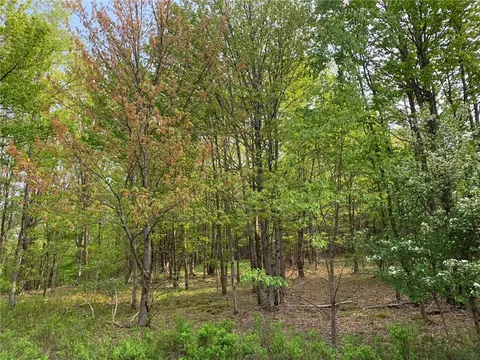 0 White Hill Rd, Davenport, NY 13820