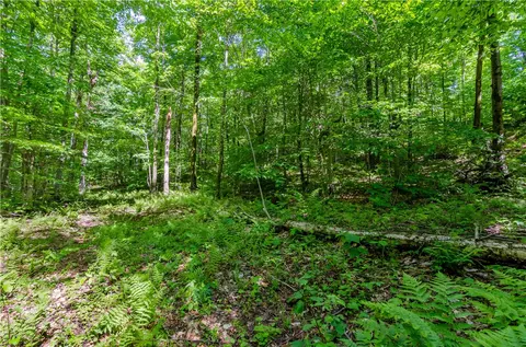 0 Olive Whitbeck Rd, Franklin, NY 13775