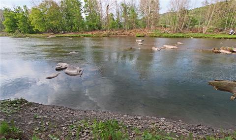 0 Cohan Rd, Prattsville, NY 12468