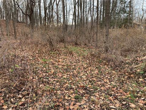 535 Parrish Rd, Mendon, NY 14472 photo 9