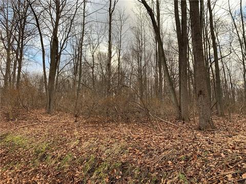 535 Parrish Rd, Mendon, NY 14472 photo 10