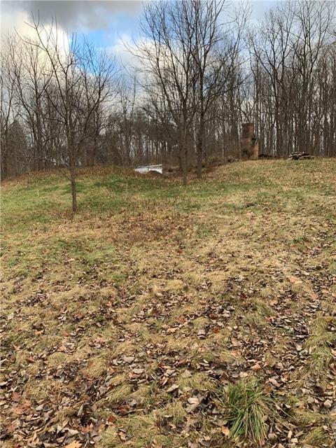 535 Parrish Rd, Mendon, NY 14472 photo 7