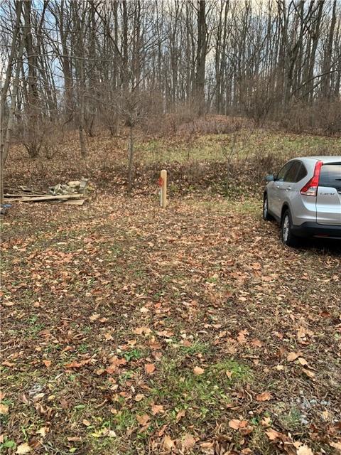535 Parrish Rd, Mendon, NY 14472 photo 6