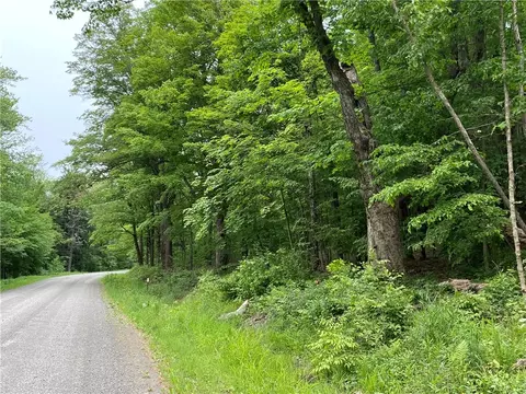 0 Gross Rd, New Lisbon, NY 13415