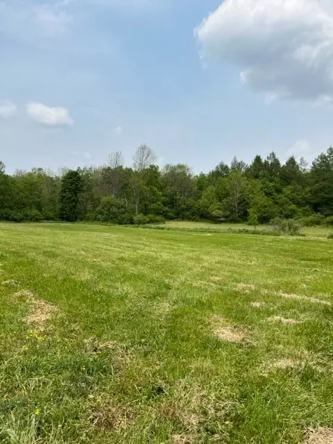 0 Pigeon Hill Rd, Plymouth, NY 13844