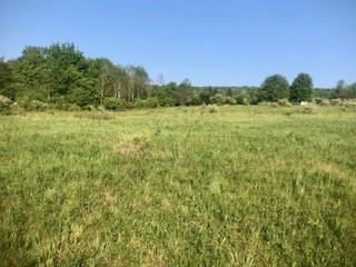 0 Geiss Rd, Coventry, NY 13778