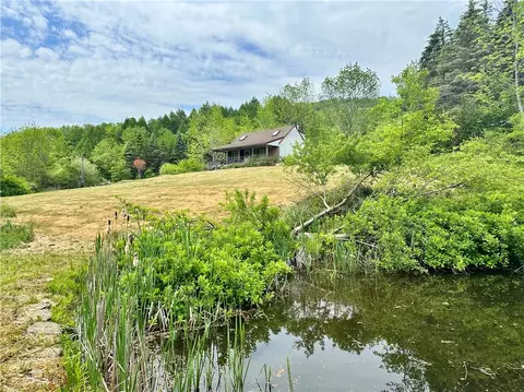 1895 Chamberlain Brook Rd, Walton, NY 13856