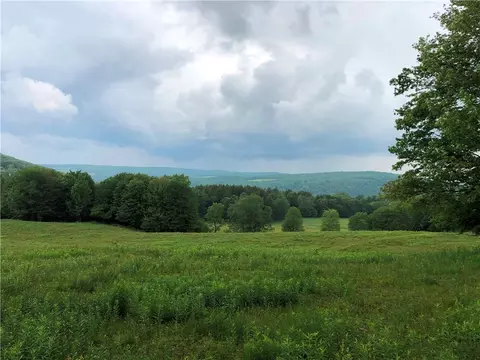 lot2 1 County Road 42, Pharsalia, NY 13155