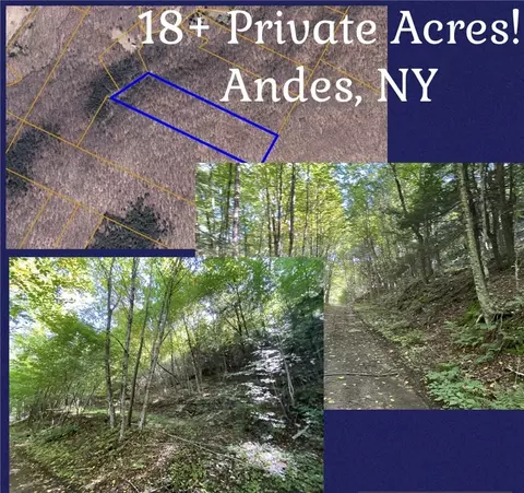 0 Davis Hollow Rd, Andes, NY 13731