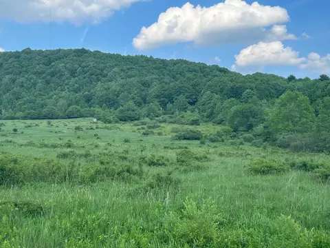 170 N Sanford Road Rd, Sanford, NY 13754