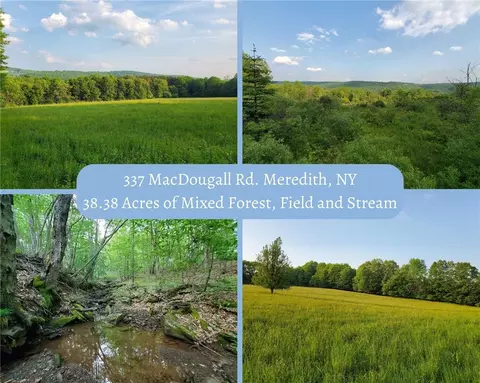 337 Macdougall Rd, Meredith, NY 13753