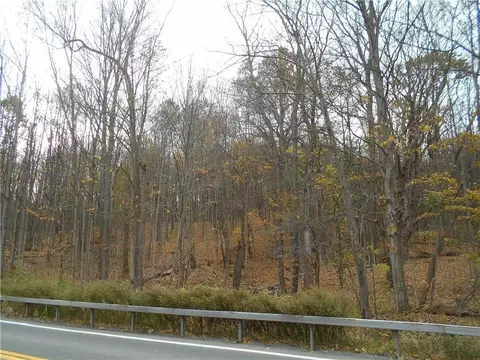 0 St Rt 38, Scipio, NY 13021