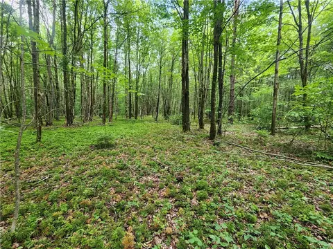 778 Beaver Meadow Rd, Smyrna, NY 13464