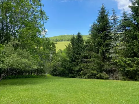 1593 Kiff Brook Rd NE, Kortright, NY 13739