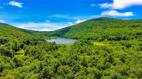 L34 Deer Path, Jefferson, NY 12093