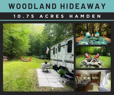 0 Basin Clove Rd, Hamden, NY 13782