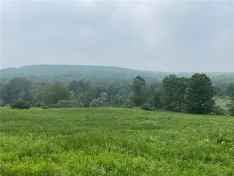 lot34 05 Upper Green St, Otego, NY 13825