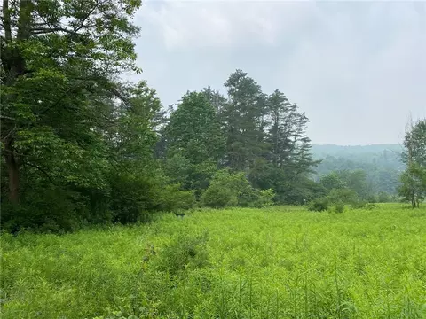 315 Upper Green St, Otego, NY 13825