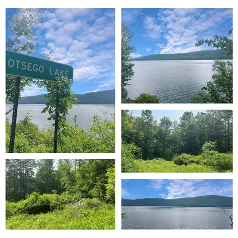 0 Parshall Rd, Otsego, NY 13326