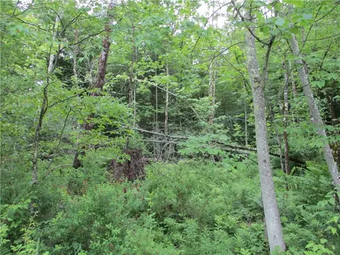 00 Buckley Holw, Smithville, NY 13605