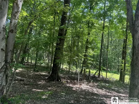 0 Snowball Hollow Rd, Scio, NY 14895
