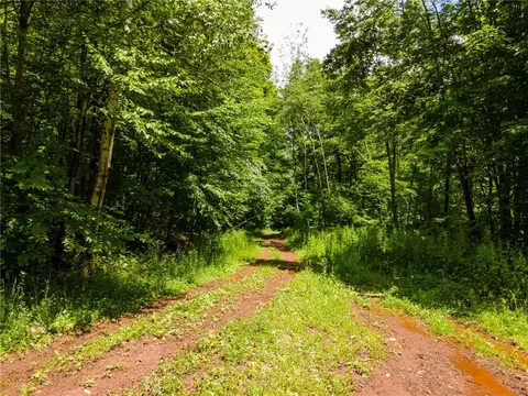 0 Mcmurdy Hill Rd, Kortright, NY 13842