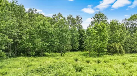 157 Whitetail Mountain Rd, Summit, NY 12175