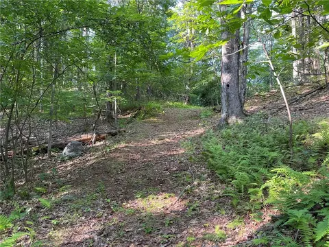 000 Canniff Rd, Cairo, NY 12413