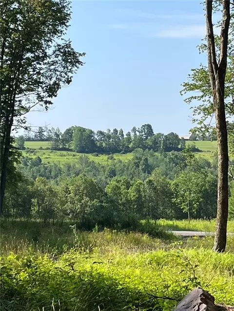 0 Lilley Hill Rd, Butternuts, NY 13849