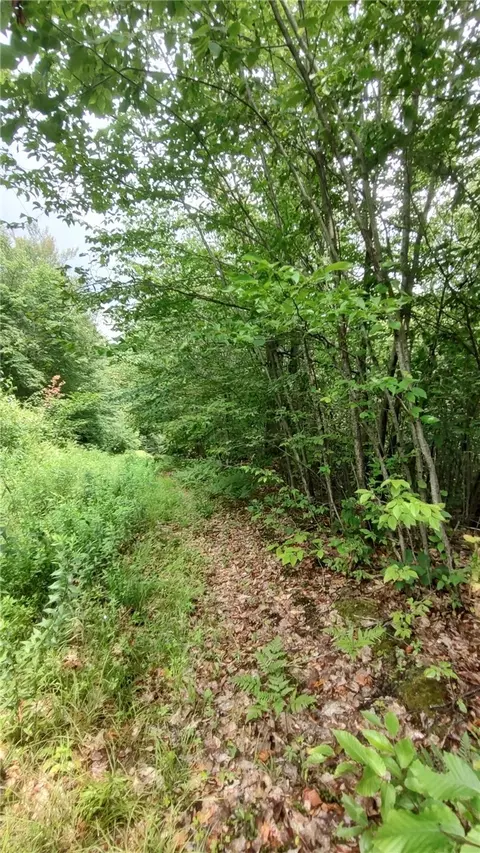 Undisclosed, Deposit, NY 13754