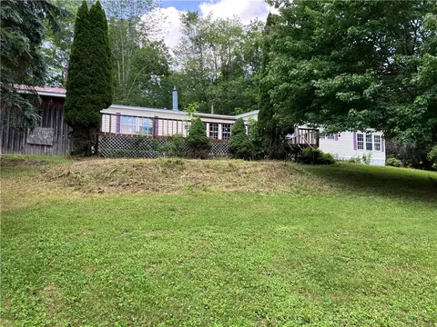 1130 Bloody Pond Rd, Willet, NY 13040