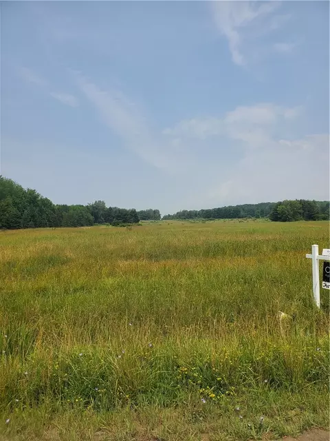 0 Crotty Rd, Granger, NY 14735