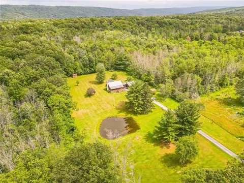 5421 Old Bald Hill Rd, Canadice, NY 14466