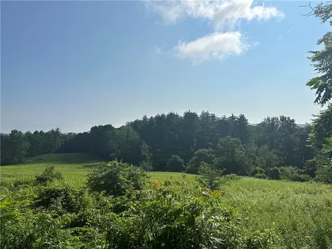 0 Taylor Rd, Exeter, NY 13439