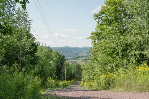 lot11 Cowan Rd, Stamford, NY 13788