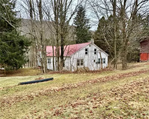 50-110 Barrett Rd, Delhi, NY 13753