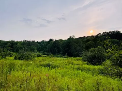lot3 3 Lot 117 Bunt Rd, Greene, NY 13778