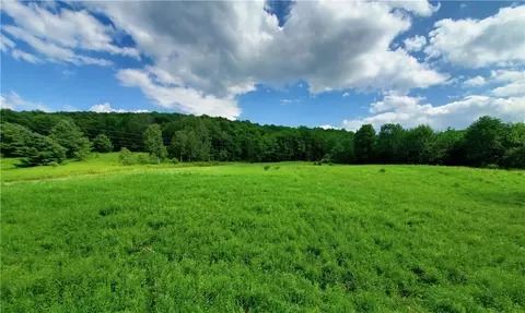 lot28 1 Palmer Hill Rd, Meredith, NY 13806