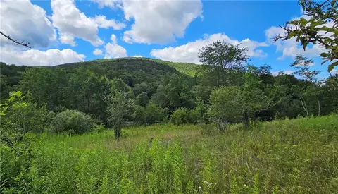 lot1 Tait Rd, Hardenburgh, NY 12455