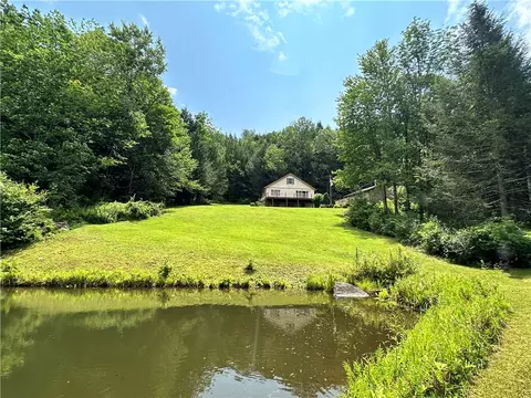 296 Crystal Meadows Rd, Colchester, NY 13782