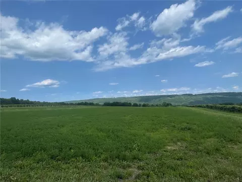 11303 County Route 78, Pulteney, NY 14873