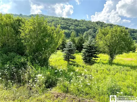 0 Five Mile Rd, Allegany, NY 14706