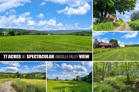 195 Fisk Hill Rd, Unadilla, NY 13849