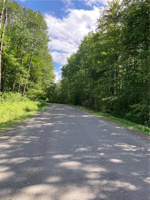0 Penelope Rd, Willet, NY 13863