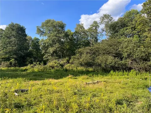 3393 Ny-220, Preston, NY 13830