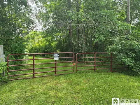 0 Wiltsie Rd S, Clymer, NY 14767