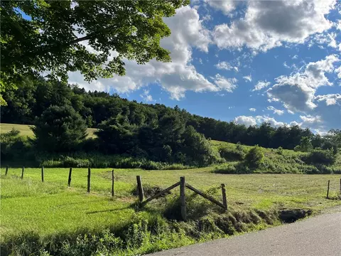 9097 N N Clendenning Creek Rd, Lindley, NY 14870