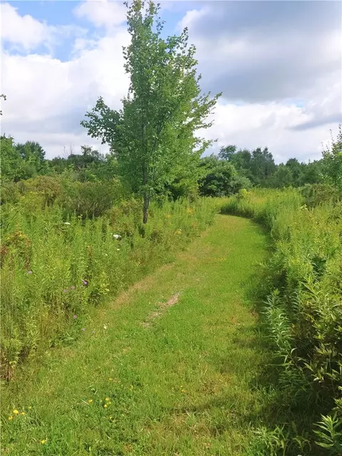 00 Burgess Dr, Middlesex, NY 14512