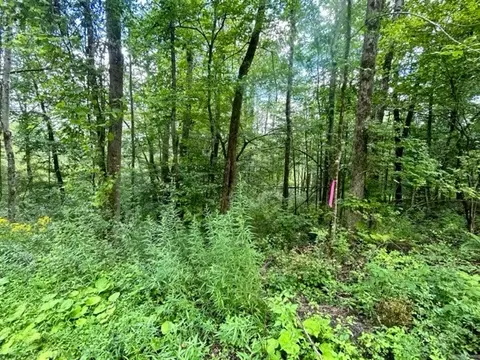 0 Junction Rd, Guilford, NY 13780