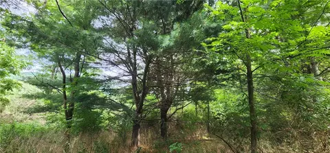 4824 State Route 245, Italy, NY 14512
